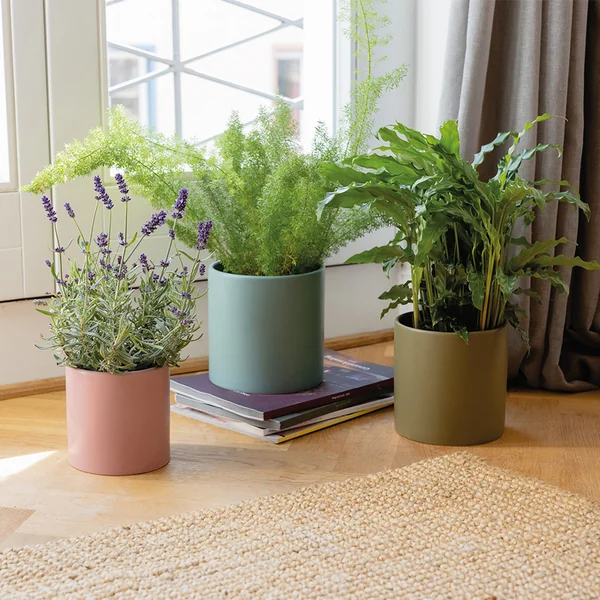 Pflanztöpfe von Remember in der Ausführung turin