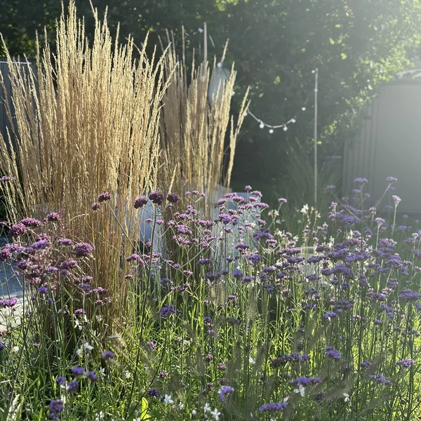 Gartenstory mit Tamara