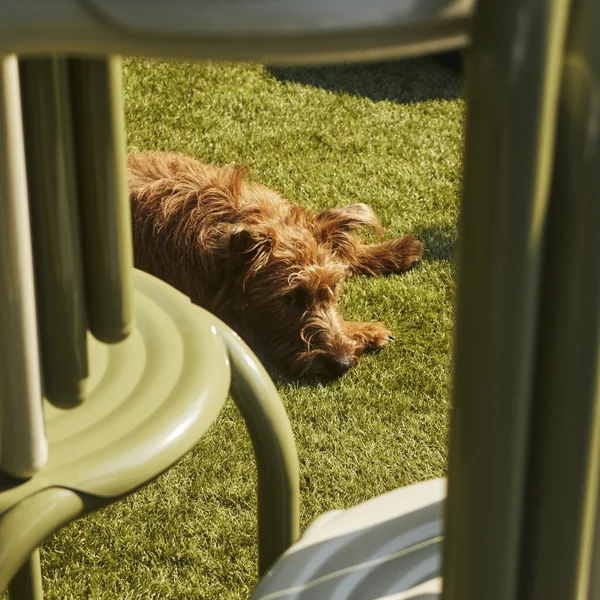 Tom Dixon - Groove Outdoor Stuhl