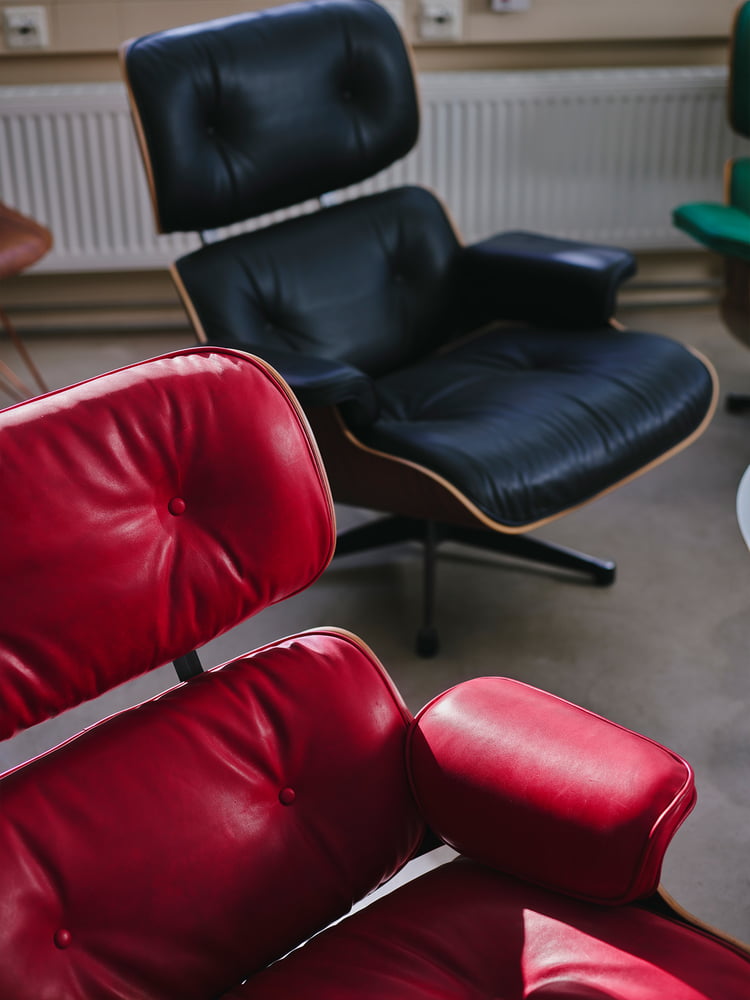 Stefan Thoma - Interview