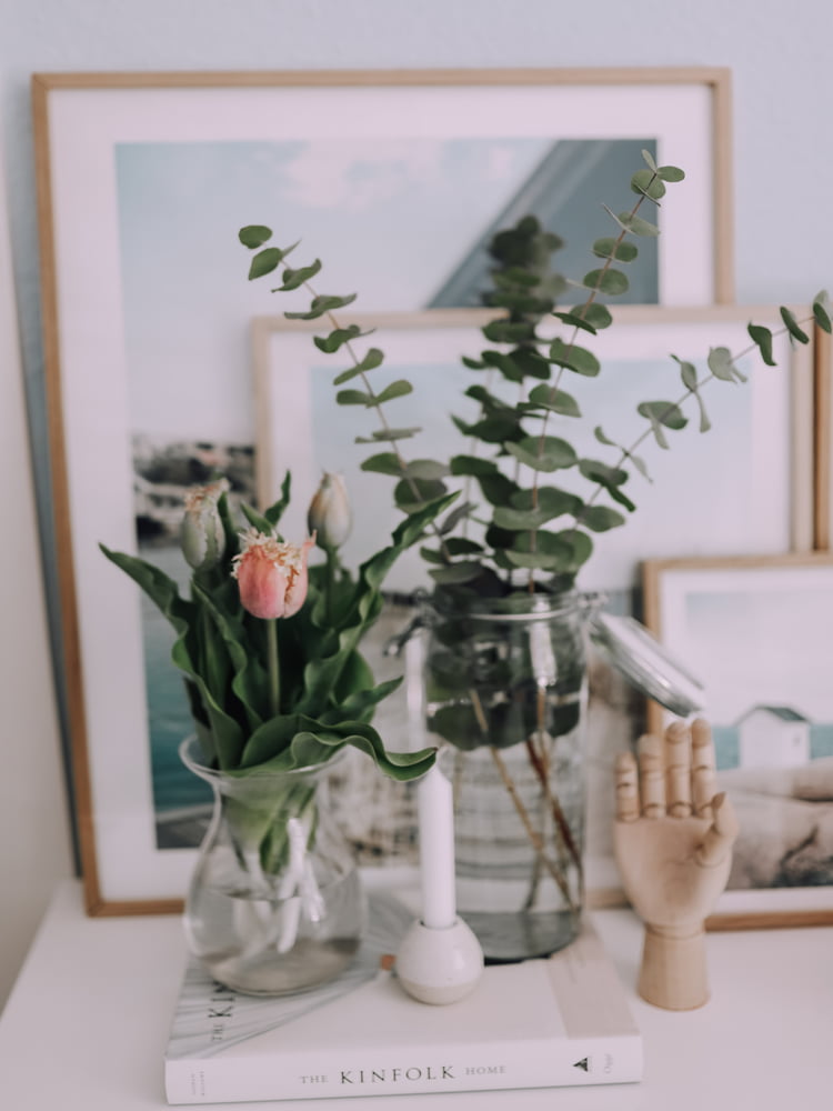 Homestory quentinjacobmax Dekodetails