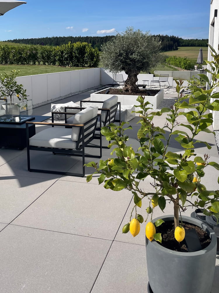 Homestory fly_kati Zitrone